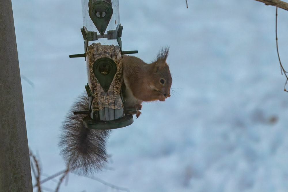 Så ja! Nu kan man äta i lugn och ro!