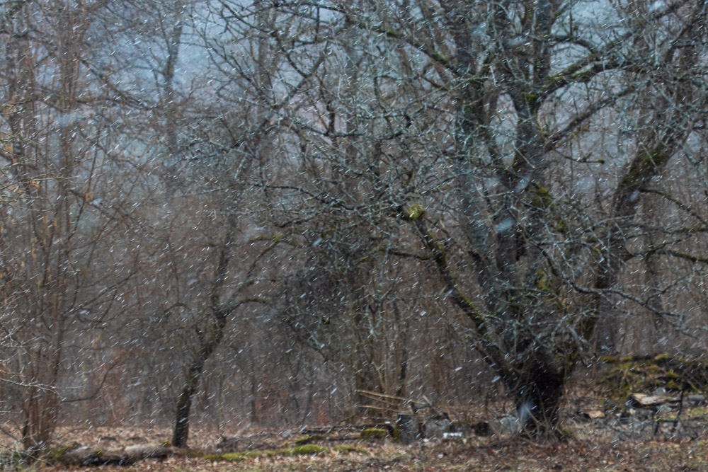 Men dagen efter kom snön...
