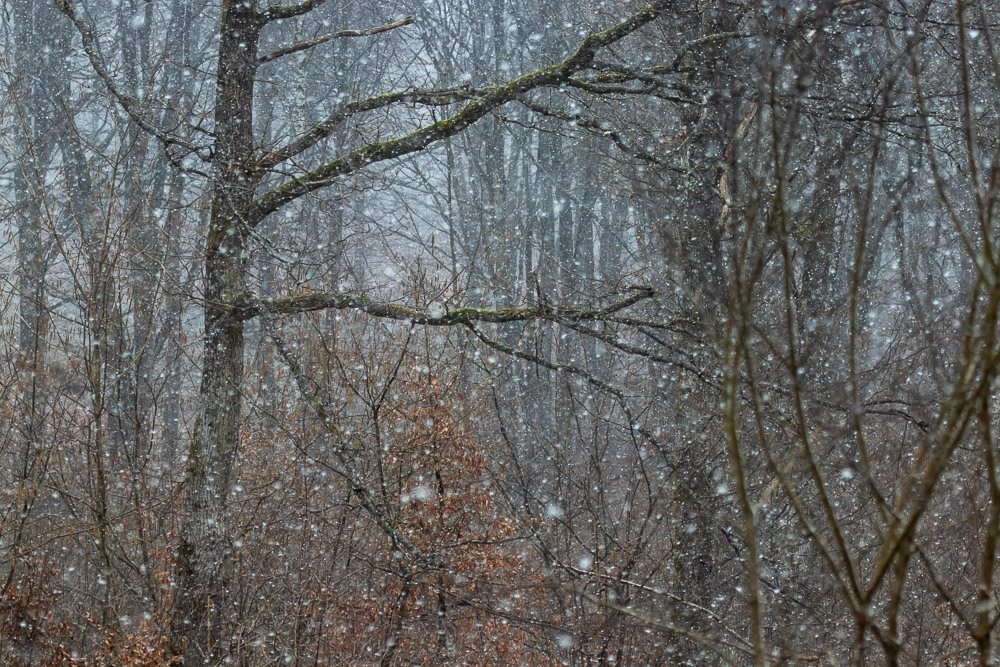Så kom snöandet igång igen.