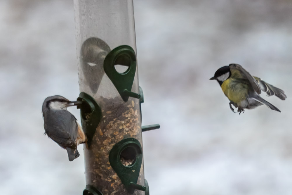 Full fart till frukostbordet!