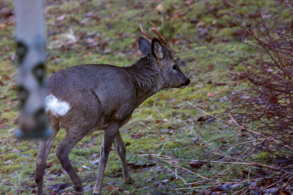 Dags att gå, konstigt nog.