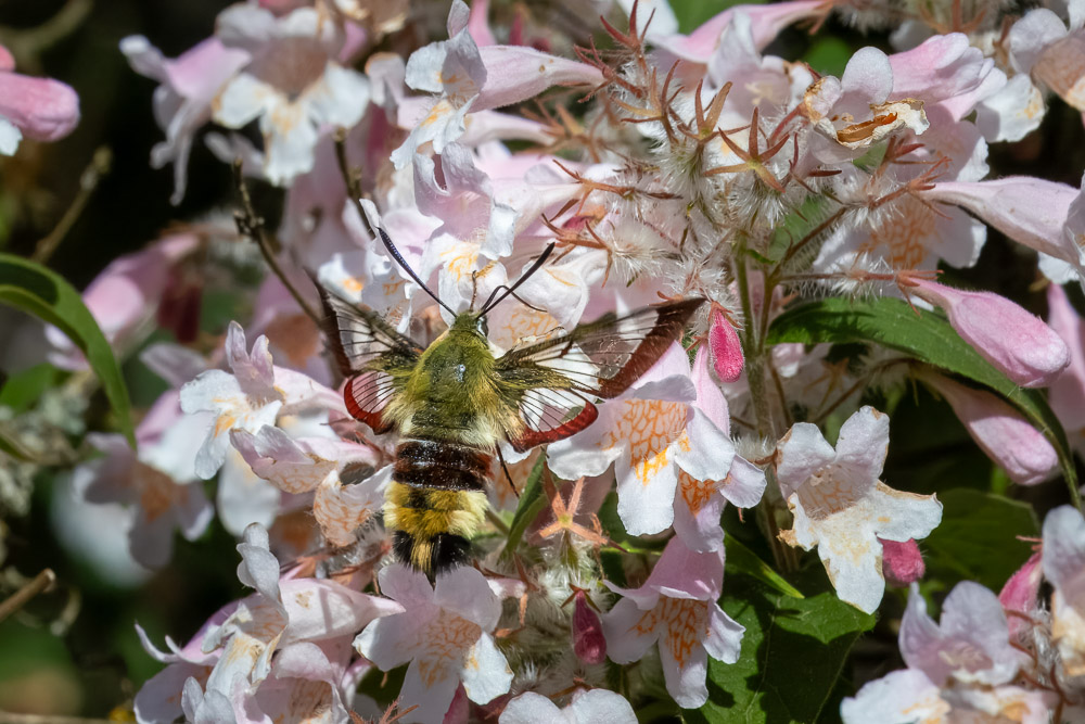 Efter någon tiondels sekund är det färdigtankat.