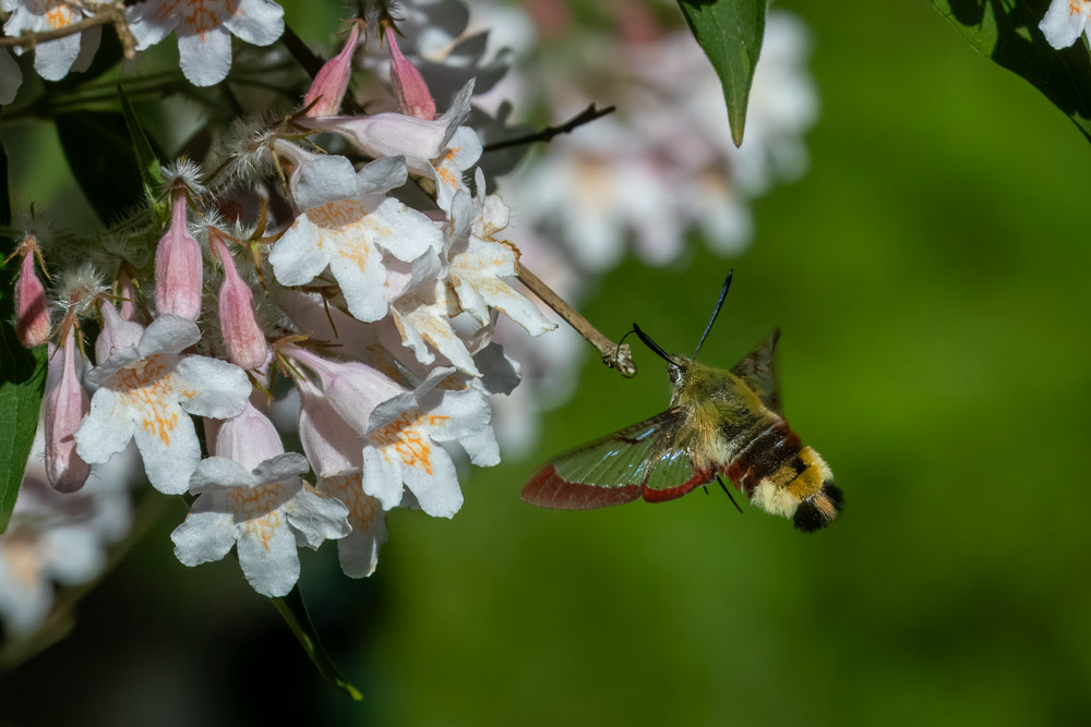 Ibland kan man råka ut för litet träsmak...