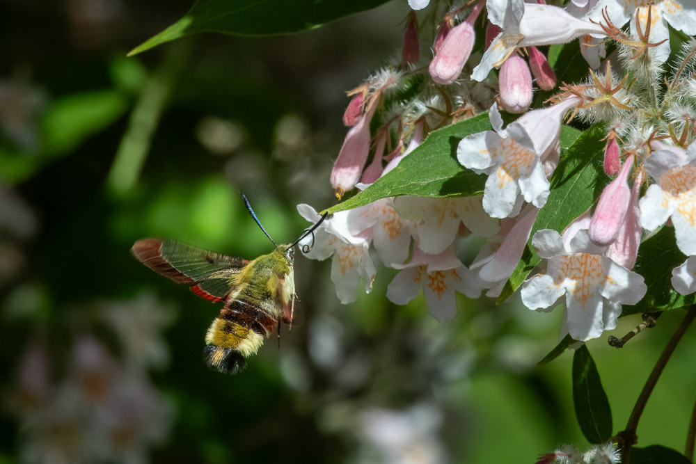 Bara att svälja förtreten och susa vidare!