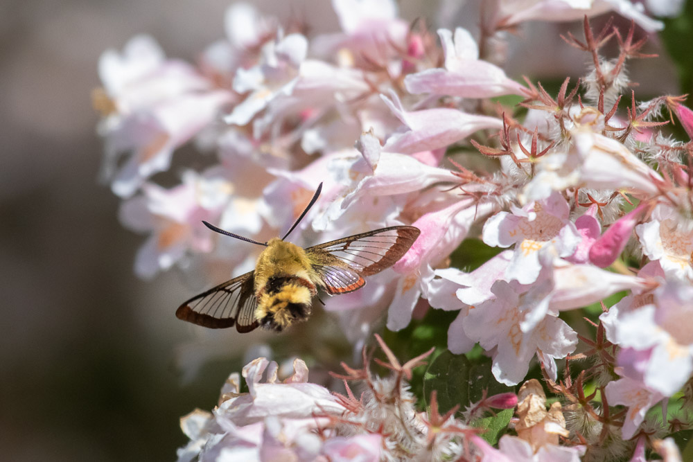Men strax är det full fart som gäller igen!