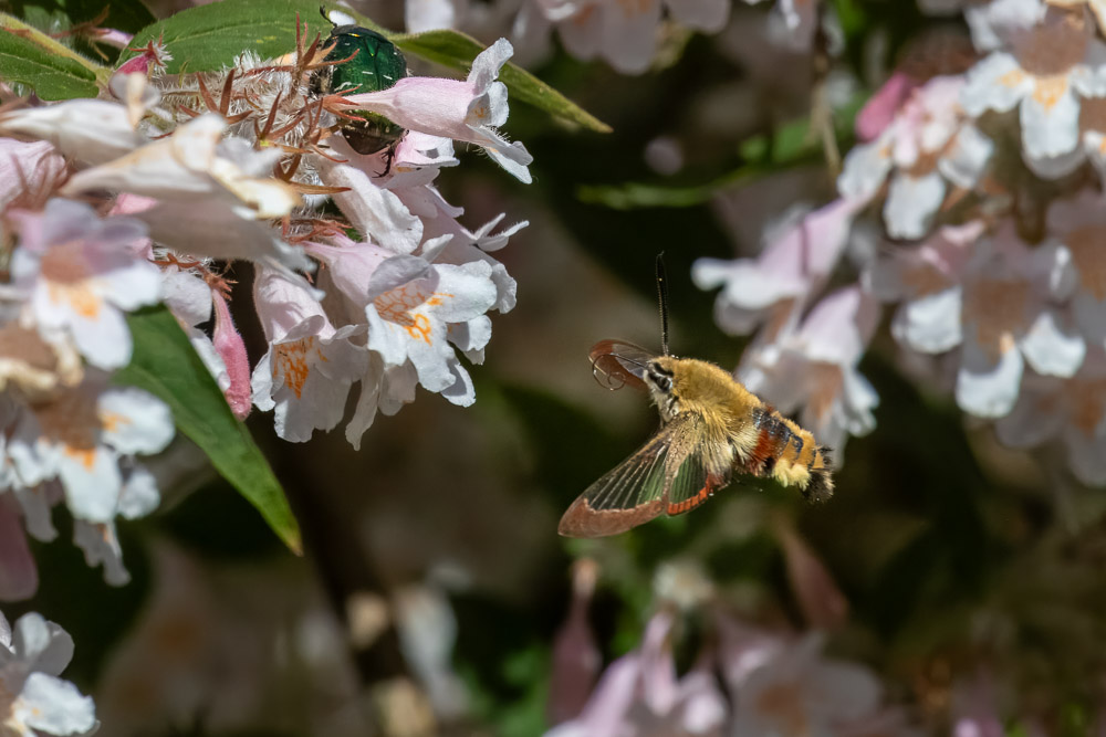 Man får ta noga sikte på tankställena!
