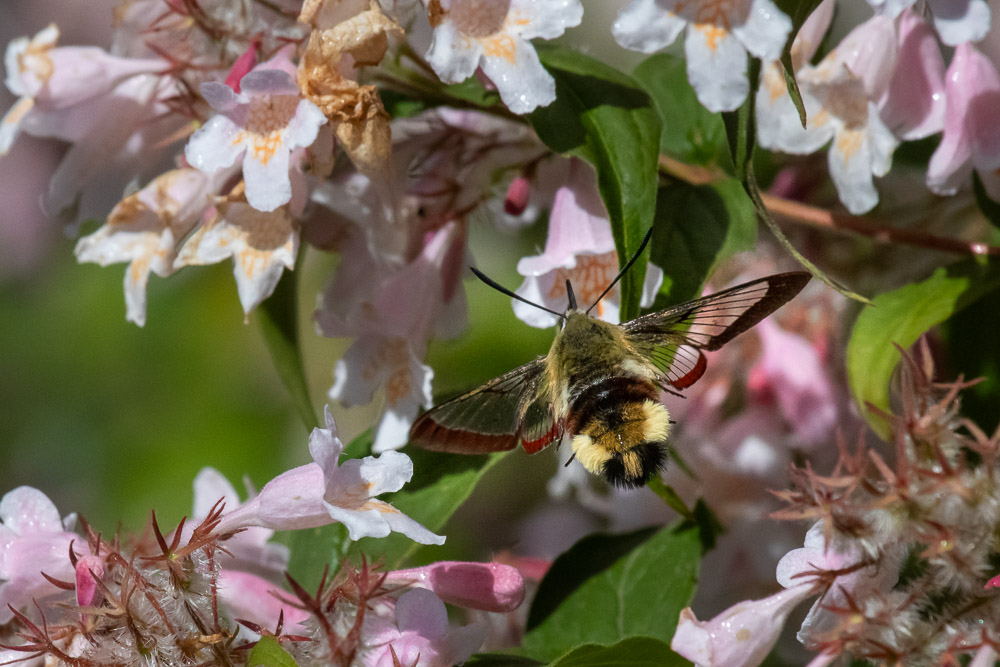 Där ser det lovande ut!