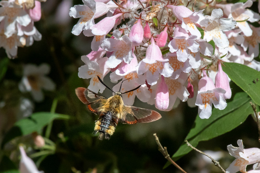 Bäst att återgå till tankningsverksamheten!