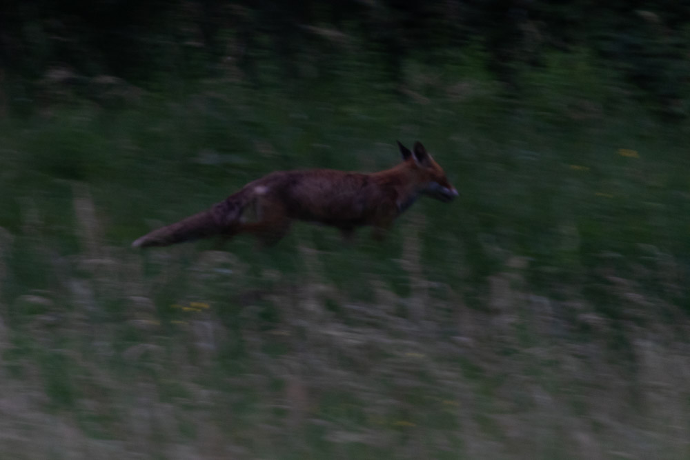 -Där framme ser det lugnare ut.