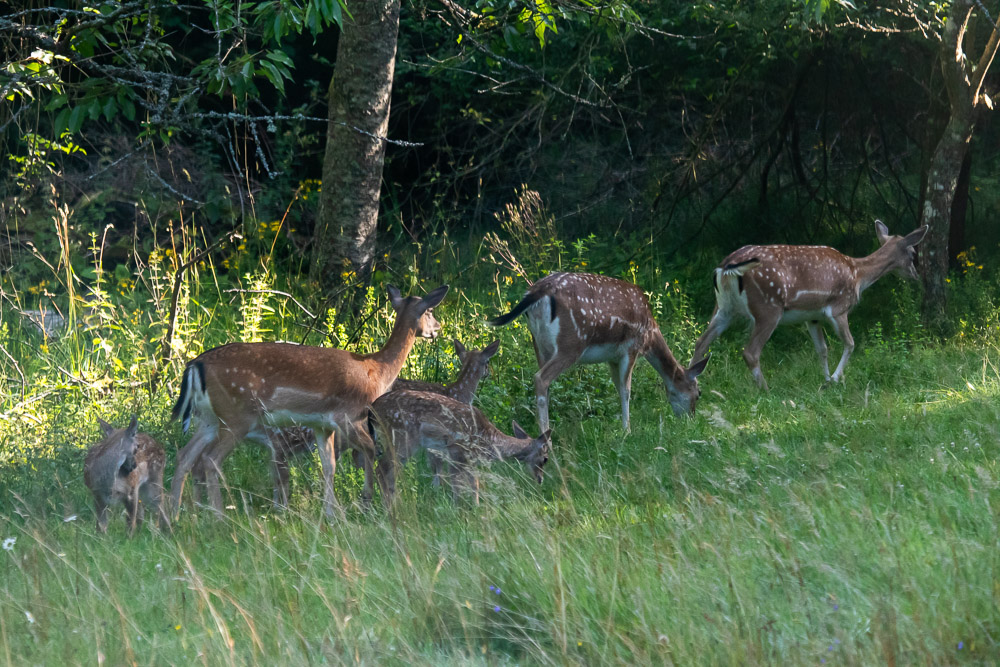 Dags att vandra vidare.
